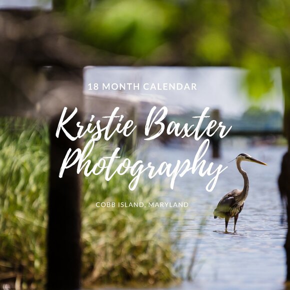 🦆 2026 Calendars – Cobb Island, MD & Waterfowl Photography 🏝️ - Picture 2 of 4